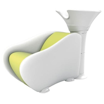 Salon_shampoo_washing_chair